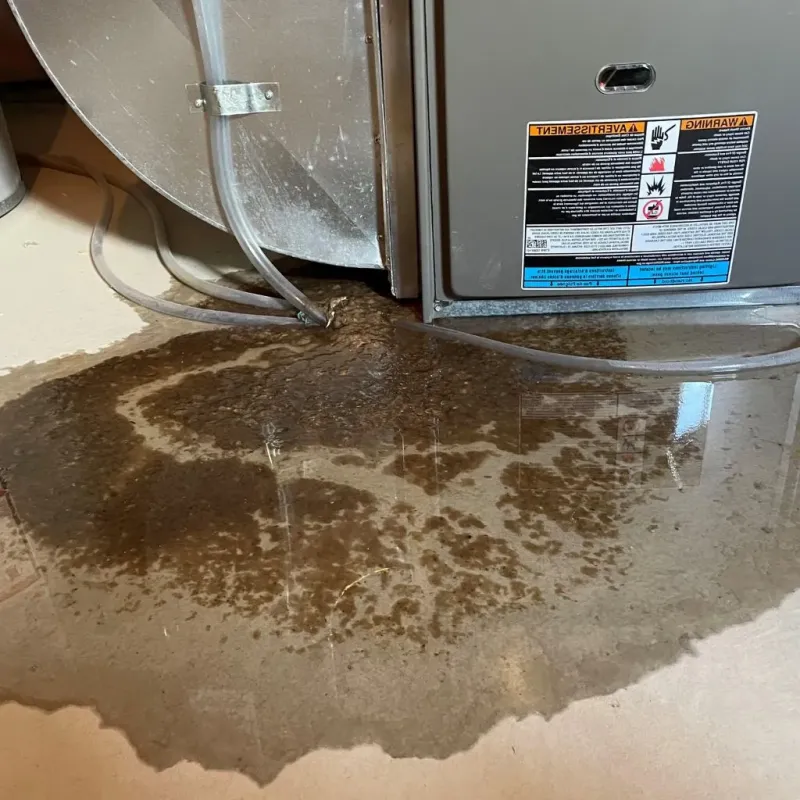 Pipe Burst and Leak Restoration in Carmel Hamlet, NY